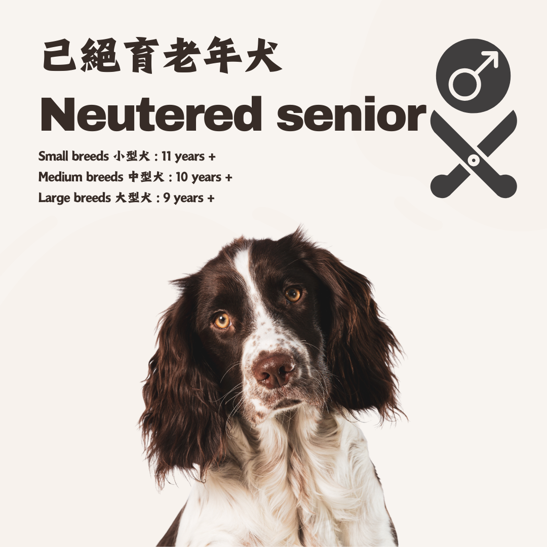 熟 · 鮮食訂製 (已絕育老年犬)