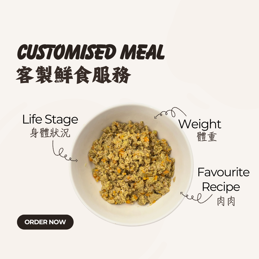 熟 · 鮮食訂製 (已絕育成犬)