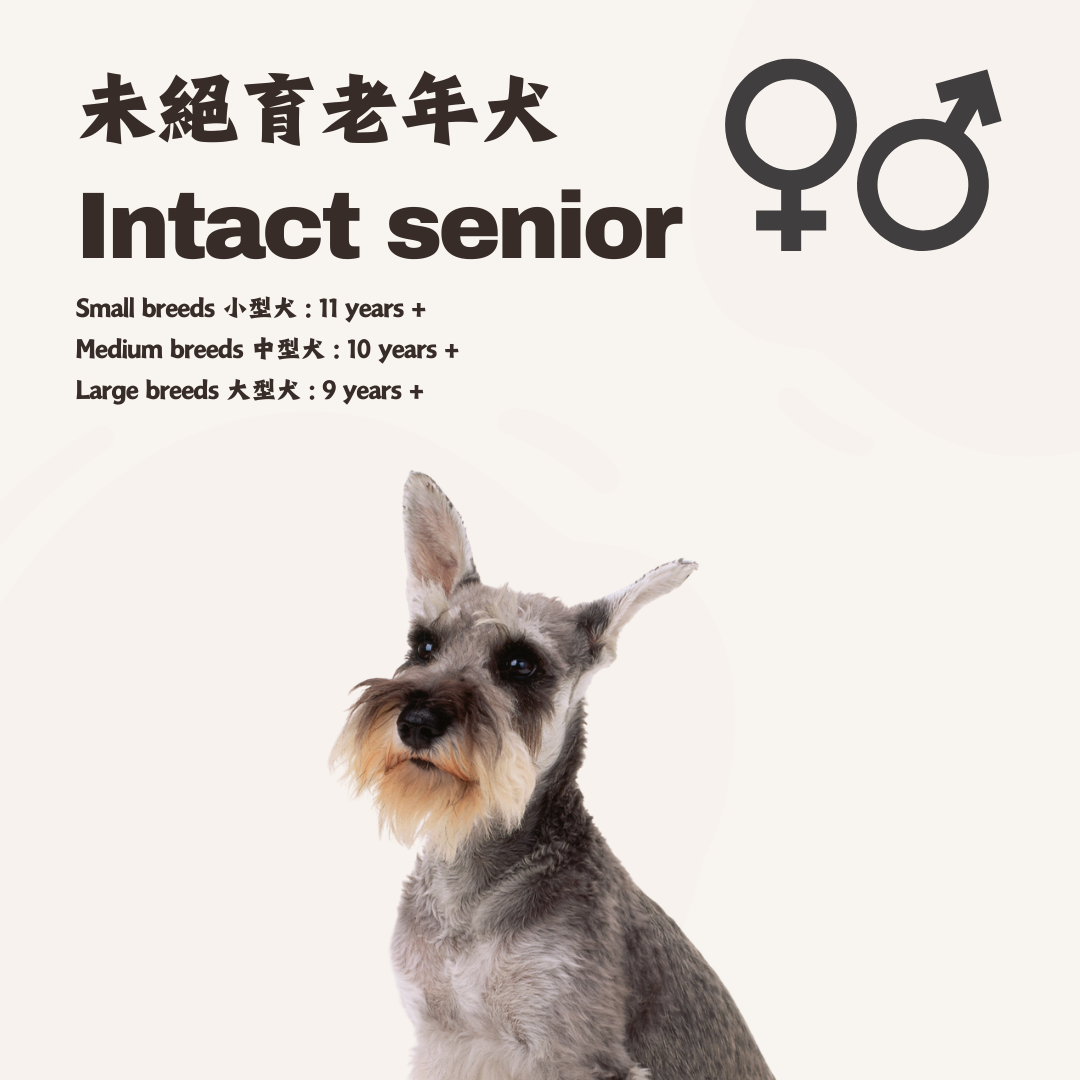 熟 · 鮮食訂製 (未絕育老年犬)