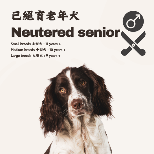 熟 · 鮮食訂製 (已絕育老年犬)